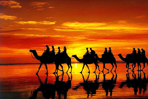 Cable Beach Sunset by Orange County Girl Cable Beach Sunset by Orange County Girl