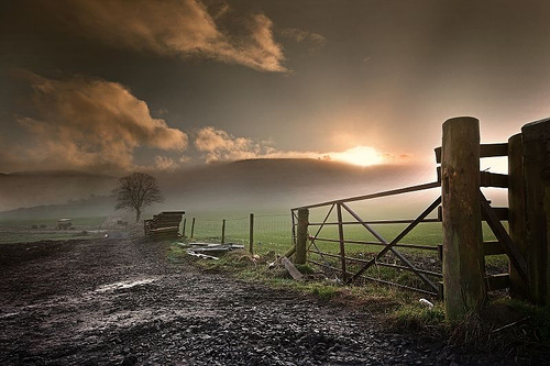 img8158 by mike138