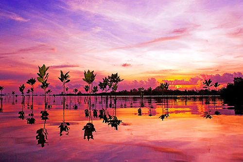 Mirror Mirror in the Water by Bram and Vera