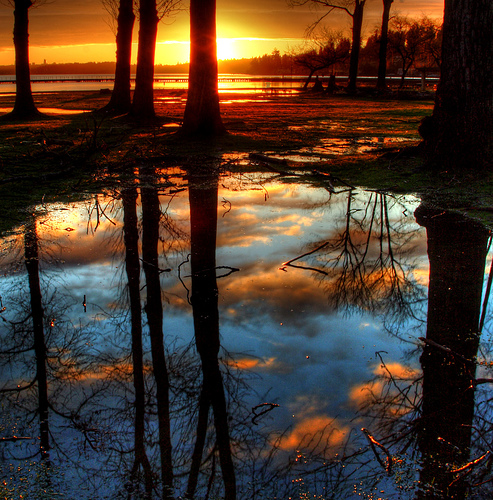 Puddle Clouds by Joe Sullivan