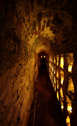 Secret Illuminated by Dave W. Clarke