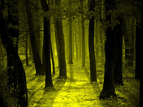 untitled by IS photo